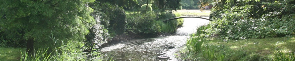 cropped-cropped-IMG_2686-e1418258527681.jpg
