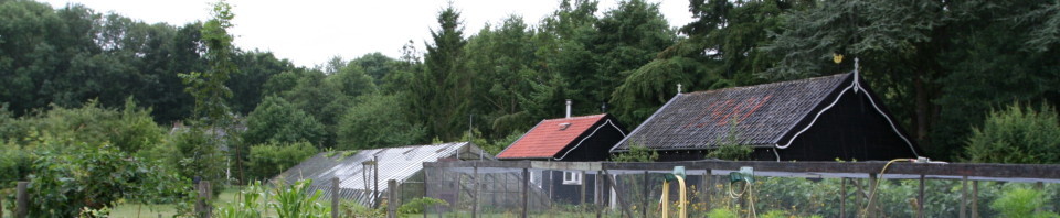 cropped-cropped-IMG_27101.jpg
