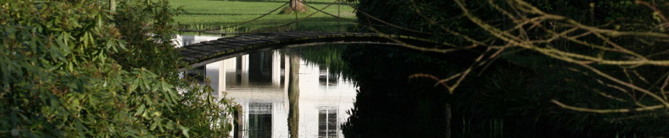cropped-cropped-Zeeduin-2.jpg