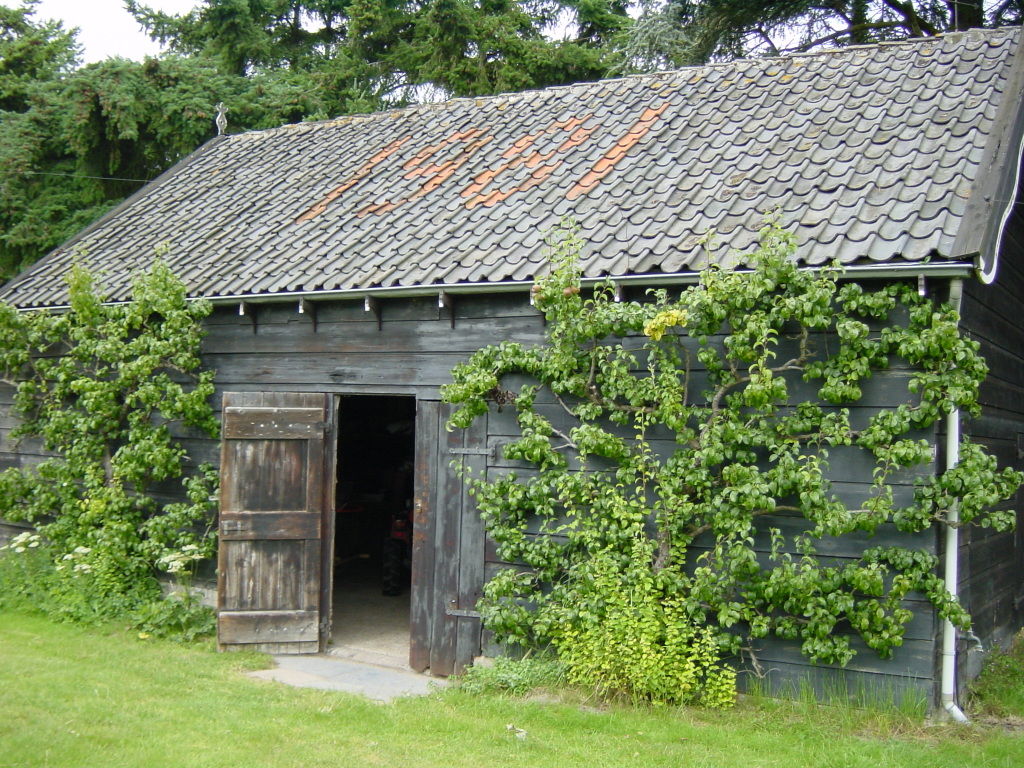 Loods in de Moestuin