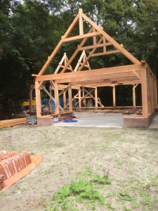 Zeeduin zomer 2015 - 90 van 93        