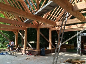 Zeeduin zomer 2015 - 92 van 93        